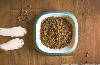 Hundefutter und Leckerlies von Fresszeug.de