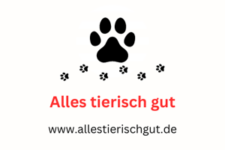 Alles tierisch gut – Online Shop für Tierbedarf