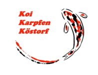 Koi Karpfen Köstorf – Der Koi-Versandhandel