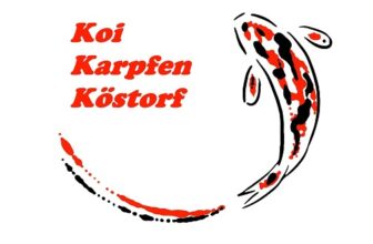 Koi Karpfen Köstorf – Der Koi-Versandhandel